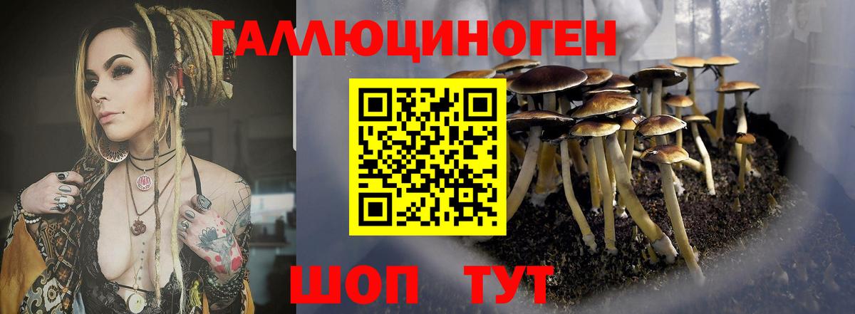 Псилоцибиновые грибы мицелий Нижнеудинск