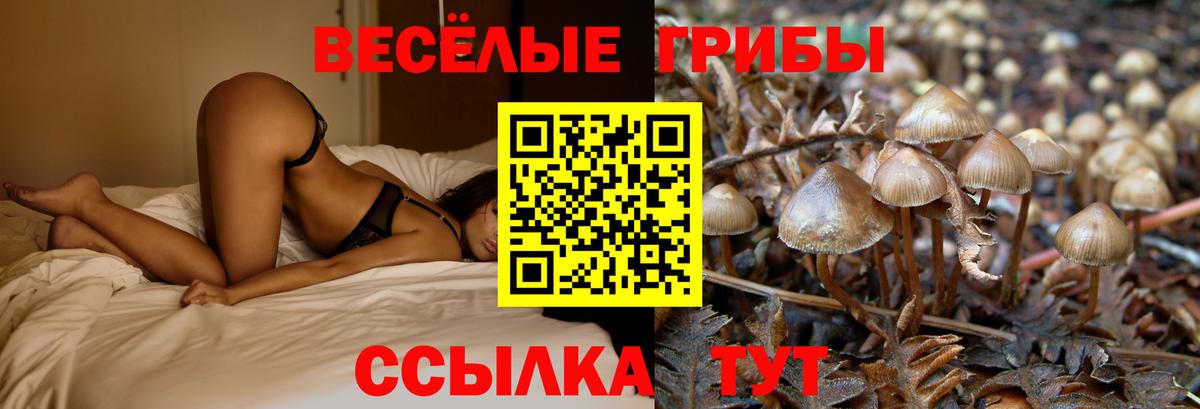 Псилоцибиновые грибы Psilocybe  Псилоцибиновые грибы Magic Shrooms  Нижнеудинск  Вход с VPN 